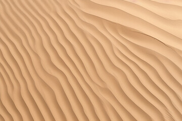 Fototapeta na wymiar Detailed sand dune texture in a desert landscape