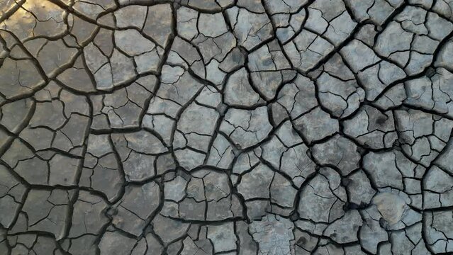 thirst, depletion of water, environmental effects of the season, change of ecosystem and water scarcity in the world