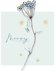 Christmas, New Year - ready-to-print card (poster) from isolated botanical silhouettes on the theme of frosty winter. The illustration is suitable for branding, discounts, invitations, congratulations