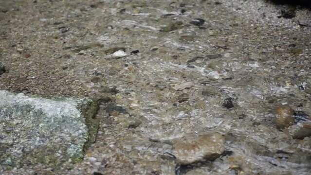 Camera pans up the clearest stream of transparent water flowing along a beautiful stone and gravel riverbed. Slow motion shot with smother gentle water flow motion action. Drinking water concept.