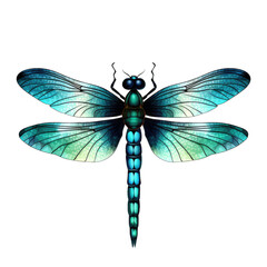 dragonfly . Clipart PNG image . Transparent background . Cartoon vector style . Generative AI 