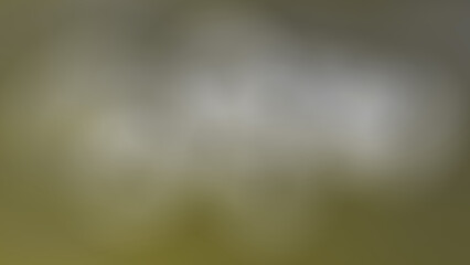 fruit abstract background Green gradient, light black and white blur, longkong, langsat, ripe, sweet, hanging, fresh, growth, garden, succulent, tropical, food, health, asia, nature, sour, on wooden 