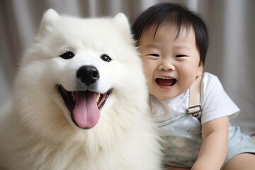 Young asian child playing with samojed dog - obrazy, fototapety, plakaty
