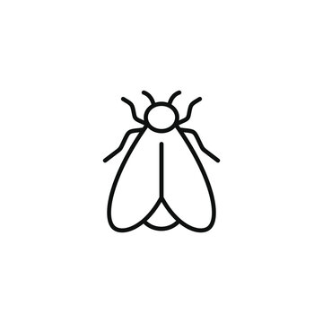 recommend clip art: Fly line icon isolated on white background