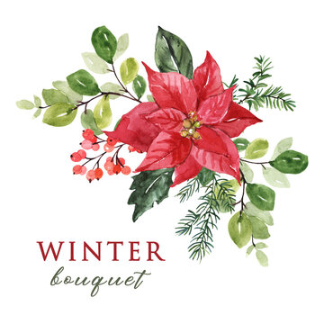 Winter floral bouquet. Watercolor hand-painted poinsettia flower, greenery, and red berries arrangement, isolated. Botanical illustration.