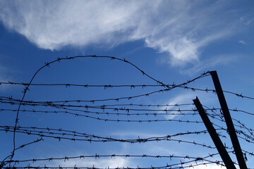Barbed wire fence and blue sky.