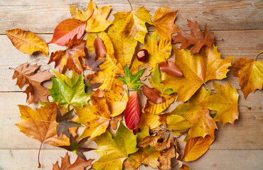 Obraz premium Herbstblätter, buntes Herbstlaub auf Holztisch Jahreszeit Blätter Laub, Landscape
