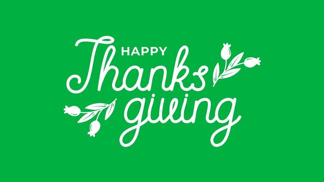 Happy Thanksgiving Day Text Animation in White and Black Color with green screen background. Animated Happy Thanksgiving. Chroma Key. 4K Animation Footage. Happy Thanksgiving