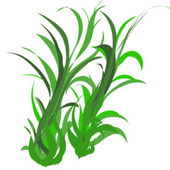 Shape or icon of a group of grass plants, without background