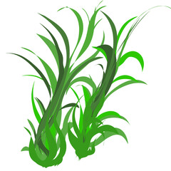 Obraz premium Shape or icon of a group of grass plants, without background