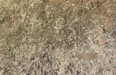Closeup of the rough stone texture of a big rock surface for natural background concepts. Closeup dirty natural stone background texture in warm tones