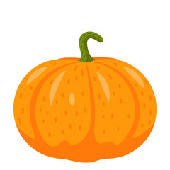 Big pumpkin isolated on white background vector graphics