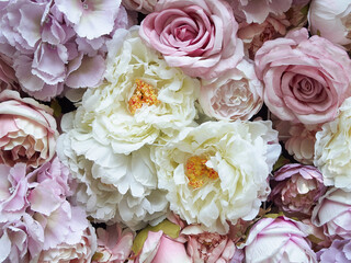 beautiful plants in nature