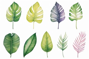Tropical Botanical Elegance: Watercolor Plant Leaves Set on White Background