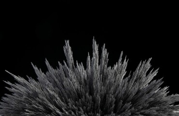 Reaction of iron dust to a magnetic field of a strong neodymium magnet on a black background