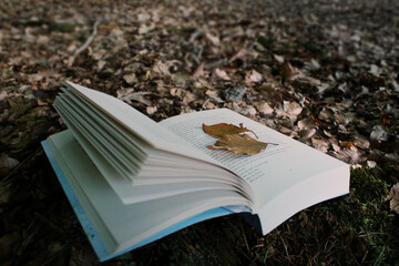 Open book with leaves
