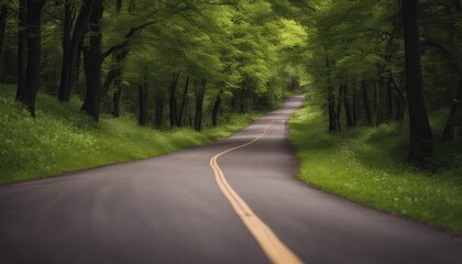 Fototapeta premium The country roads are wooded and luxuriant with the Dindahl effect