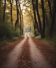 Naklejka premium The country roads are wooded and luxuriant with the Dindahl effect