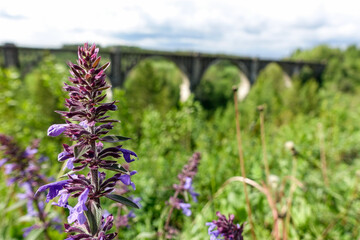 Railway bridge across the river in the south of the Kama region. The old Big Sars viaduct. The abandoned Oktyabrsky viaduct in the Perm Region. Russia.