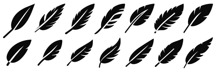 Feather Vector illustration.   Feathers of birds. Black quill feather silhouette. 
