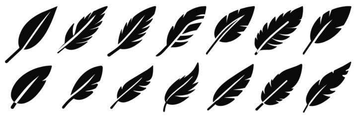 Fotobehang Feather Vector illustration.   Feathers of birds. Black quill feather silhouette.  © Ira