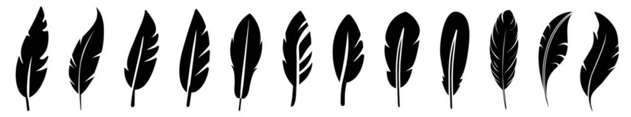 Set of black feather in a flat style. isolated feathers silhouette - obrazy, fototapety, plakaty