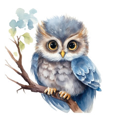 Watercolor cute owl, isolated on transparent background, png