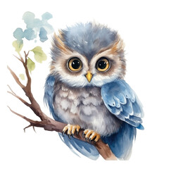 Fototapeta premium Watercolor cute owl, isolated on transparent background, png