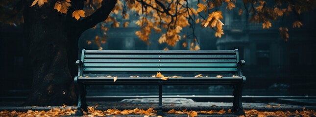 A black bench in a lonely park in autumn.