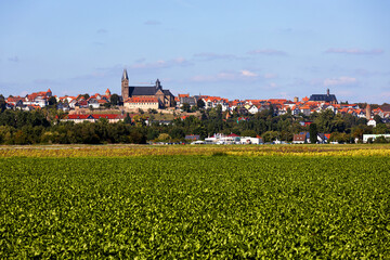 historic german city of fritzlar in the back - obrazy, fototapety, plakaty
