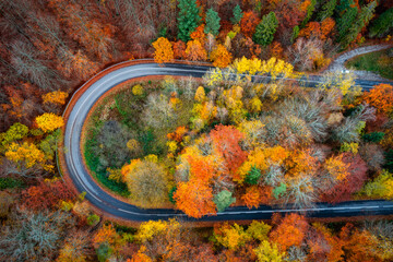 A winding road in the Kashubian Lake District at autumn, Poland. - obrazy, fototapety, plakaty
