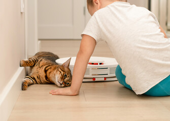A little boy and a beautiful domestic leopard cat of the Bengal breed have fun playing in a home interior with a robot vacuum cleaner that cleans the apartment.