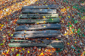 Old railway wooden sleepers in the forest