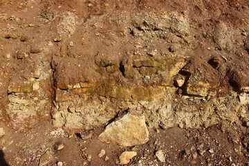 Exposure of layers of fractured clayey limestone sprinkled with earth