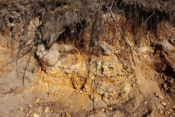 Outcrop of rocks beneath the soil layer, limestone and marl of the Lower Carboniferous period