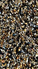 Collection of colorful pebbles creating a natural pattern.