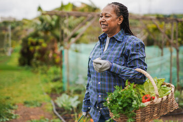 Happy senior african woman holding basket with fresh vegetables with garden in the background -...