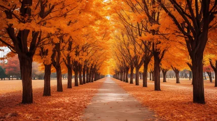 Foto op Plexiglas 美しい紅葉の並木道GenerativeAI © enopi