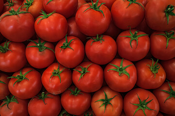 Delicious red tomatoes in Summer tray market agriculture farm full of organic.