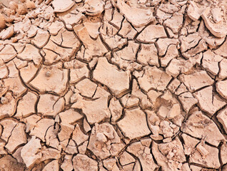 Soil drought in the desert