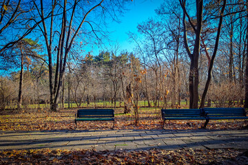 Bucharest București City Park in Christmas