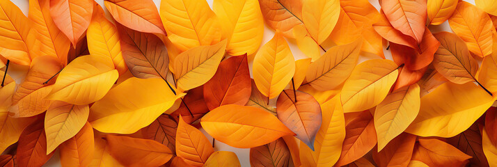 Fall leaves background with orange colorful leaves filling entire frame.