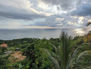 Fototapeta na wymiar Tropical forest against a cloudy sky and ocean. Westmoreland, Jamaica