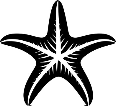 recommend clip art: Starfish - High Quality Vector Logo - Vector illustration ideal for T-shirt graphic