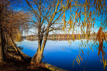 Bucharest București City Park in Christmas