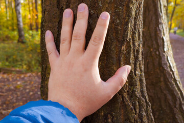Close-up of man's hand touching tree trunk in park