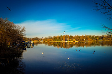 Bucharest București City Park in Christmas