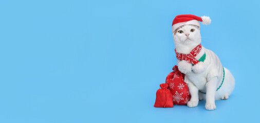 White Cat wearing Santa hat. Christmas concept. Holiday.  Santa's helper. Merry Christmas. Xmas. Santa cat looks at the camera. Happy New Year. Greeting card. Shopping sale concept. Christmas presents