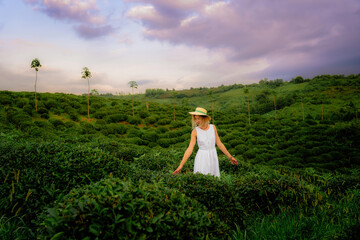 Traveler woman with tea bushes during her travel to tea plantations in Guria, Georgia. High quality photo