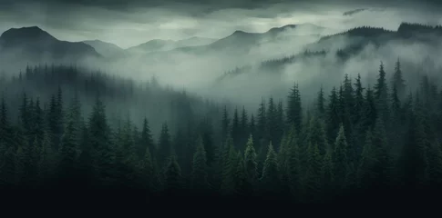 Foto op Aluminium Generative AI image of woods with mist on top nature photos © Eitan Baron